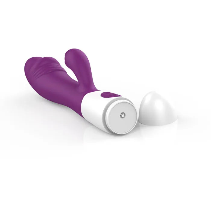 Dual Vibrator Clitoral Stimulator Vibrating Dildo